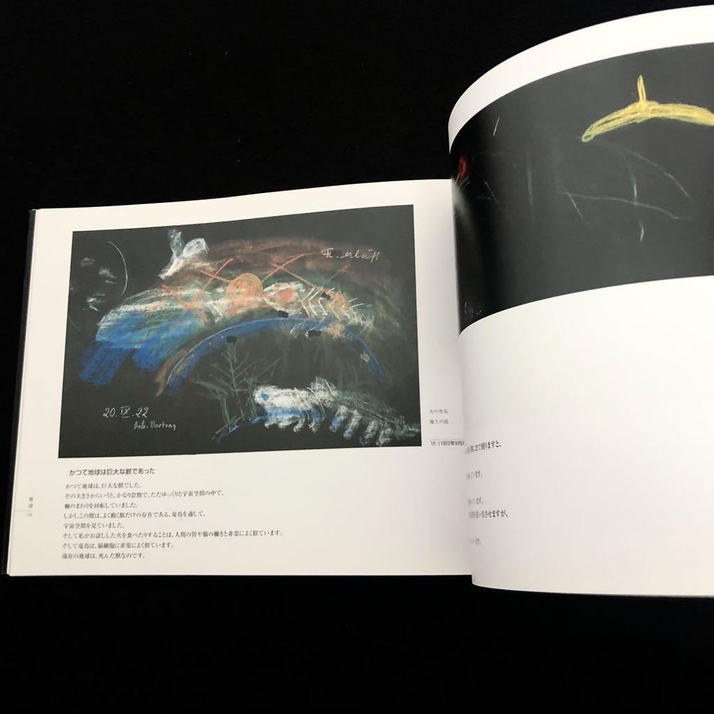 [USED] "Rudolf Steiner: Blackboard Drawings Left Behind" by Iwao Takahashi, 1996, First Edition