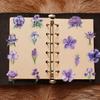 50 Transparent Cartoon Purple Floral Sticker Package Waterproof Transparent PET Handbook Material Decorative Guitar Notebook