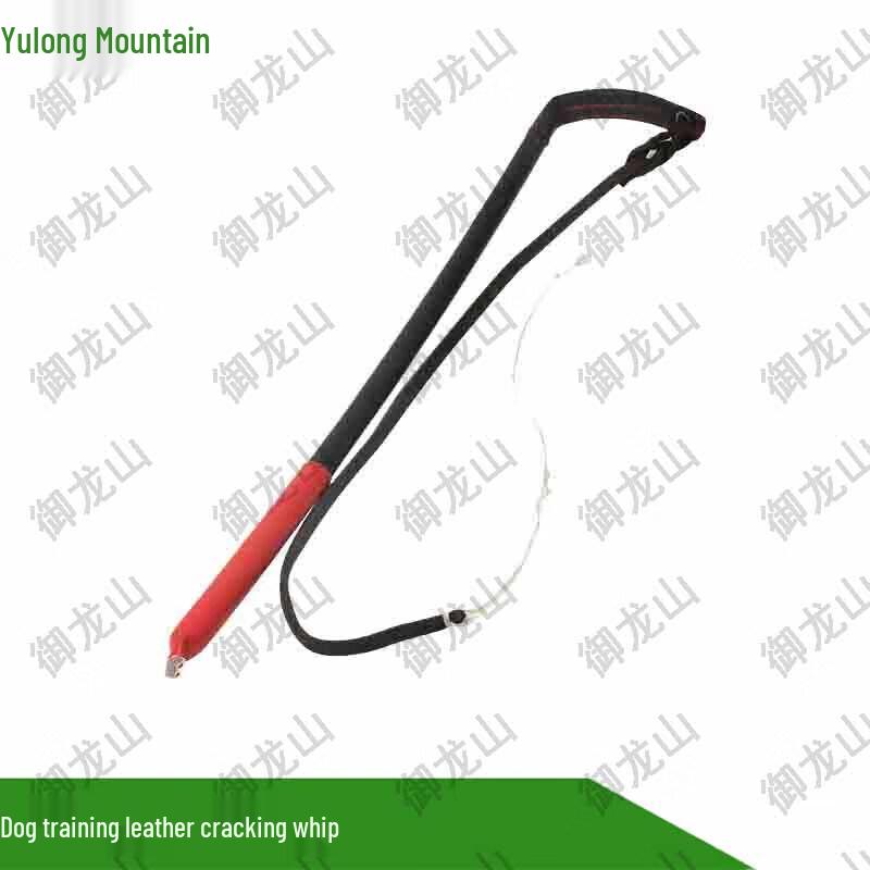 Dog Training Sound Interference Whip