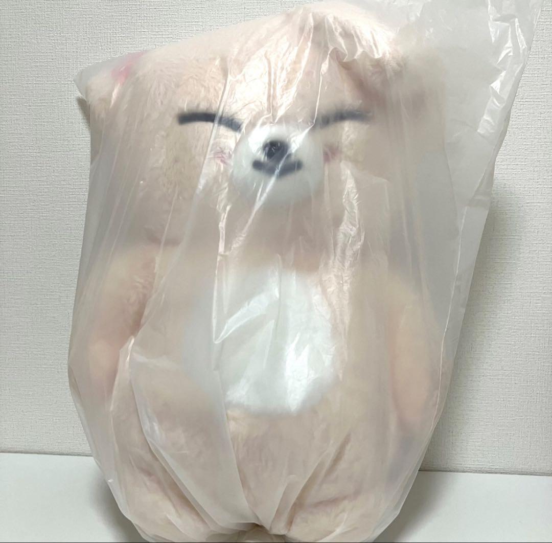 

[Б/У] Stray Kids SKZOO ПЛЮШЕВЫЙ Мишка Вер.