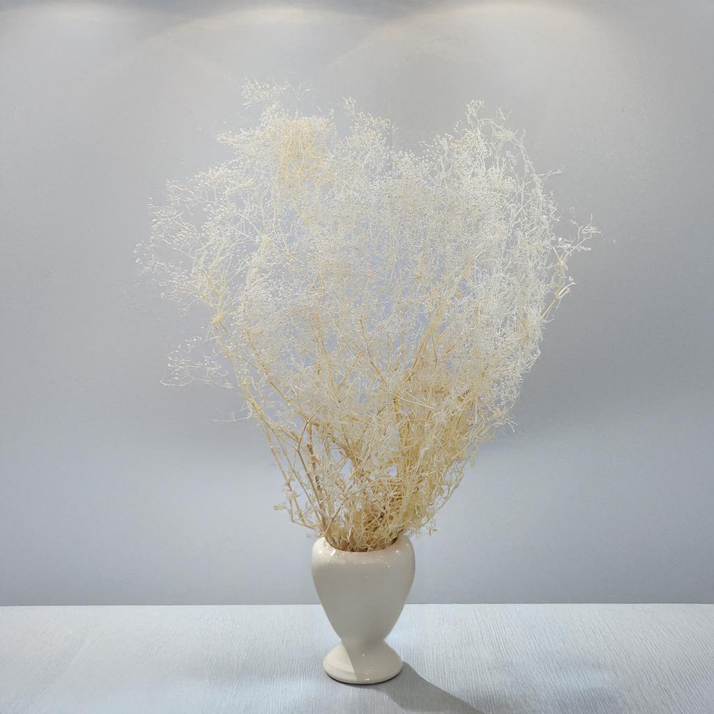 Stabilized Baby's Breath Mini - (Gypsophila) - Bleached