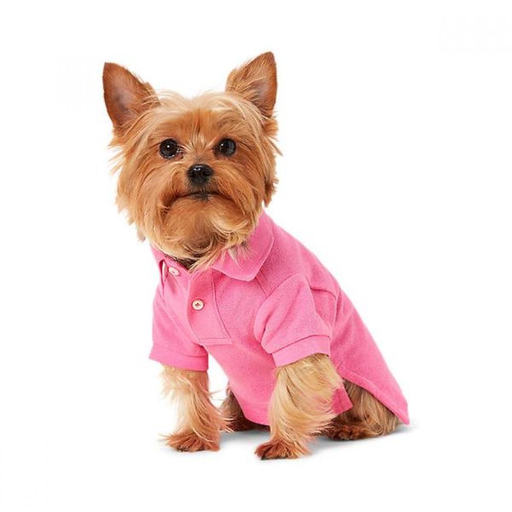 Ralph Lauren Big Pony Cotton Mesh Dog Polo Shirt  Hmpogfthr920016650 LARGE