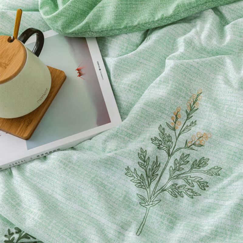 Dohouxi Mugwort Scented Antibacterial Summer Quilt