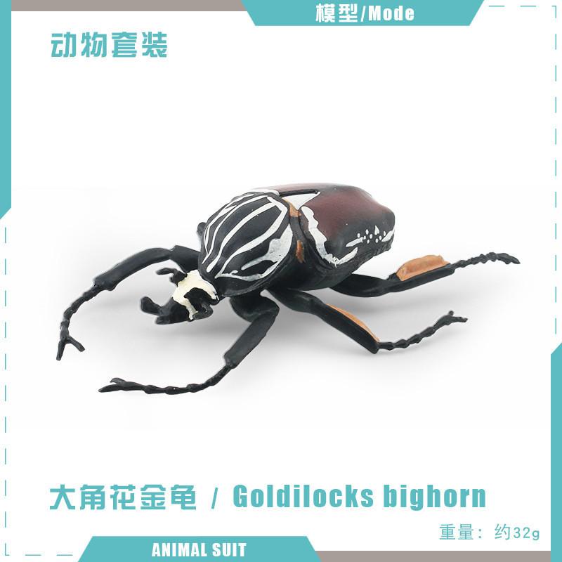 Realistic Pvc Insect Model Set Including Rhinoceros Beetle And Dragonfly For Decoration