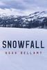 Snowfall by Hugh Bellamy Paperback Book 9781800746442