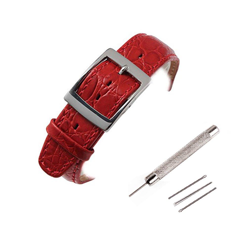 Chocoman Swatch Genuine Leather Watch Waterproof 3 Spring Spring Bar and Strap, 17mm/19mm Band, [Includes Bars, Remover, Box]