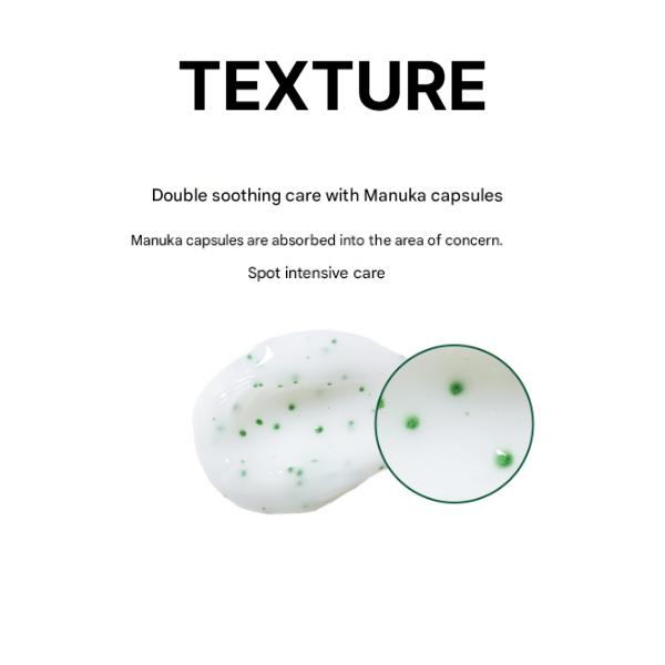 HOLIKA HOLIKA Acneinator Klärende Creme 50ml / 1.69 fl.oz. (3 Optionen)