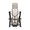 RODE Microphones NT1-A Condenser Microphone