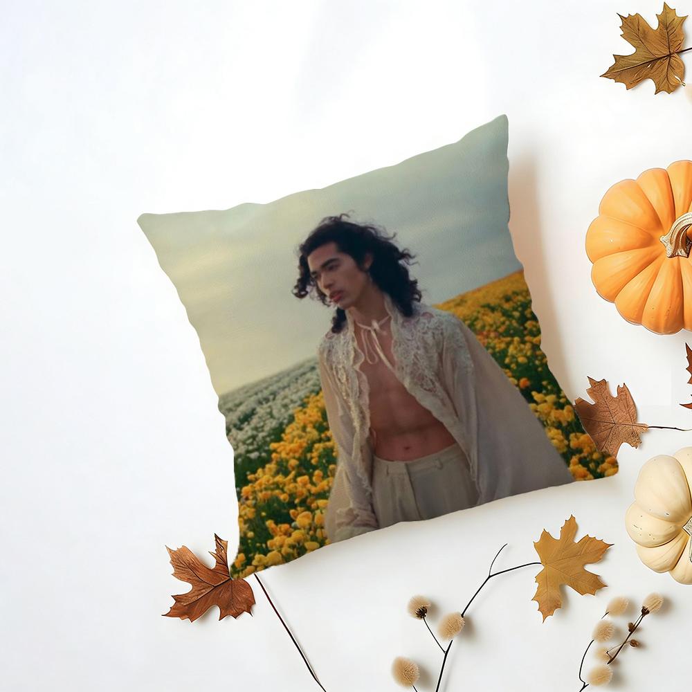 Conan Gray Holidays Cushion Cover Iceland Washable Linen Soft  for Daily Sofa Bed Home Room Decor
