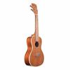 KALA Gloss Mahogany Series Concert Ukulele with Mahogany Body (KACG-WBAG20_06) - Successor to the KA-CG (Case Included)