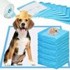 Absorbent Hygiene Pads Disposable Changing Mats 60X60 100 Pcs