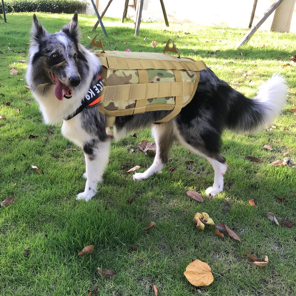 tactical dog accessories