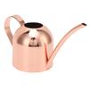 Watering Can for House Bonsai Garden Flower Outdoor Indoor Plants Long Spout Pot Stainless Steel