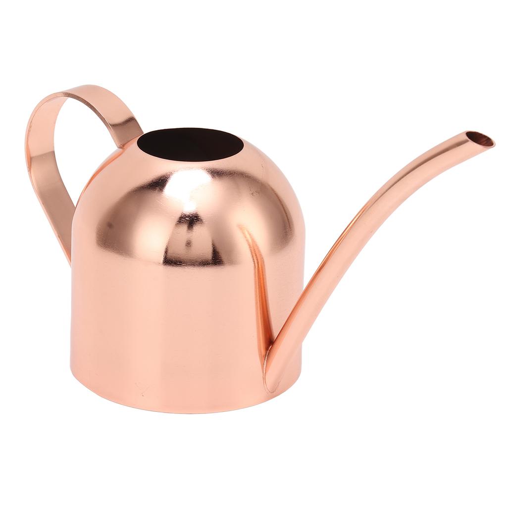 Watering Can for House Bonsai Garden Flower Outdoor Indoor Plants Long Spout Pot Stainless Steel