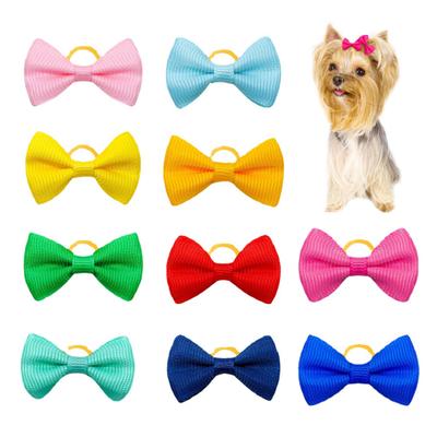 Lot de 10 élastiques pour cheveux d'animaux de compagnie, jolis nœuds pour cheveux de chien, de couleur vive