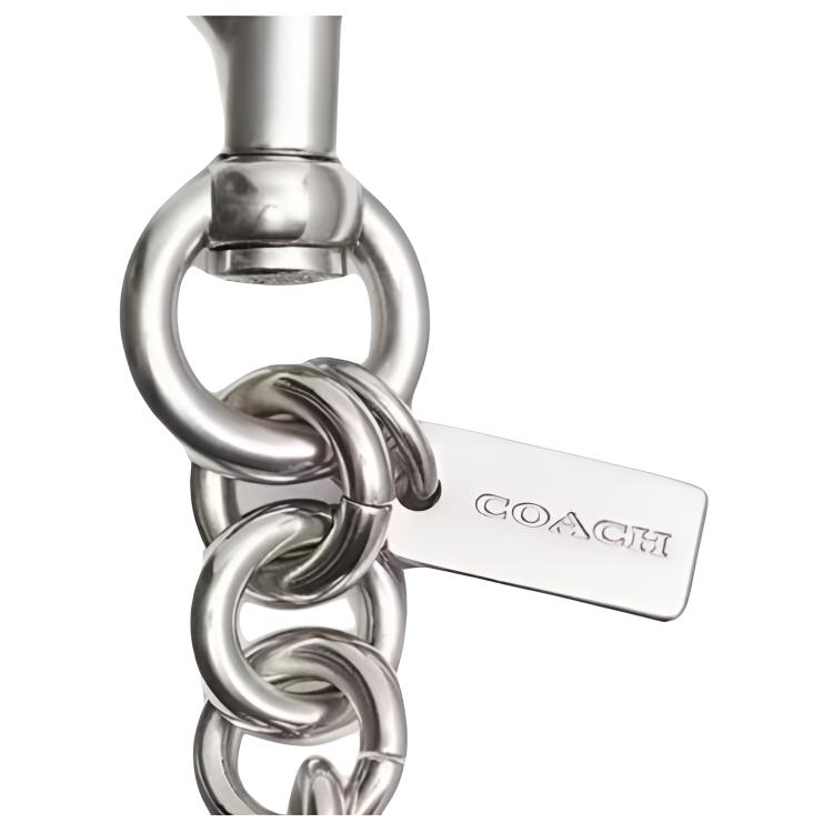 Nový COACH PEANUTS Snoopy, Kolaborace Kovový Přívěsek na Klíče Přívěsek na Kabelku Kabelkový Merch Dámský Stříbrný CBH28-LHSLV