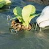 Heavy Duty Verzinkte U-Vormige Tuinpennen Landschap Grondpennen Grasmatpennen Gazon Barrière Bevestigingspennen Schutting Grondnagels