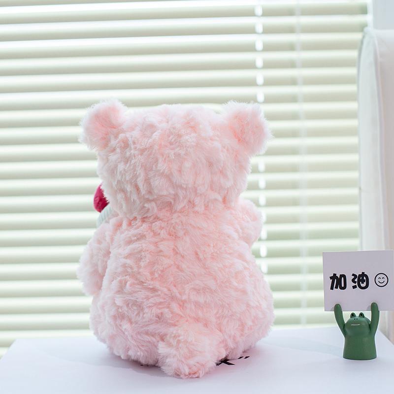 25cm Kawaii Rosa Bär Puppe Plüschtier Kuschelbär Puppe Kuchenaffe Geburtstagsgeschenk für Freundin Beste Freundin Weiches Stofftier Spielzeug