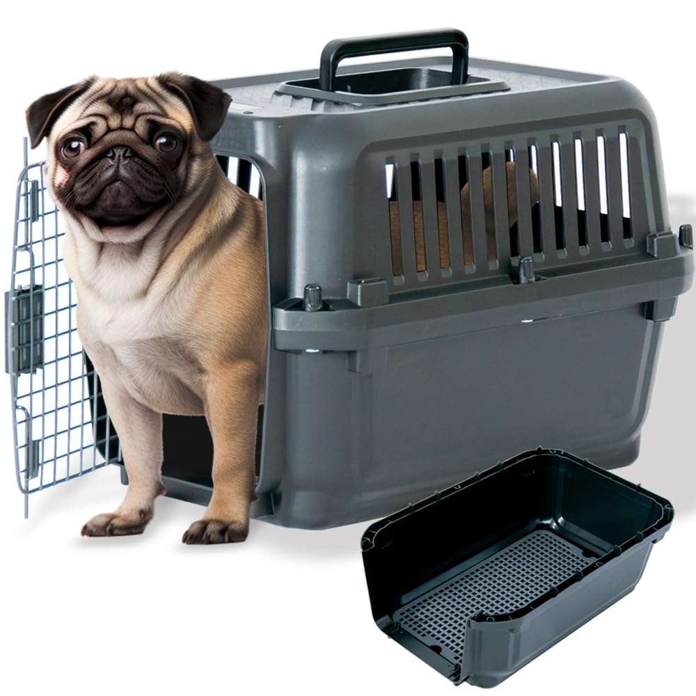 Petit Ruban DX50B Pet Carrier with Double Doors and Slatted W x 34cm H x 50cm Hard Pet Carrier for Small and Extra Small and Small Double Left and