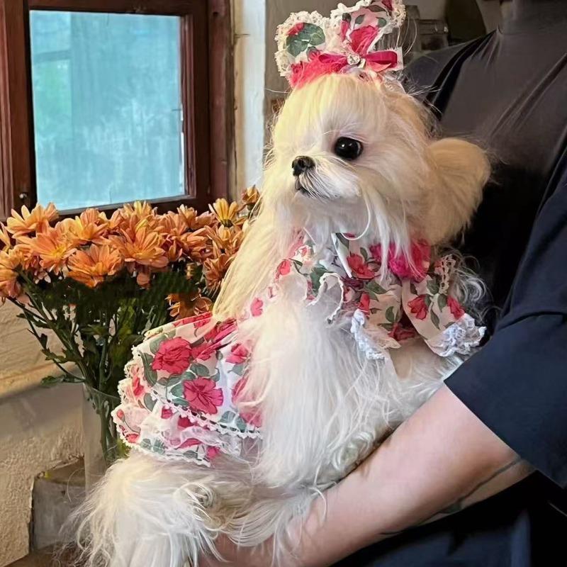 Spring/Summer Rose Dress Pet Cat Dog Yorkshire Maltese Dress Romantic