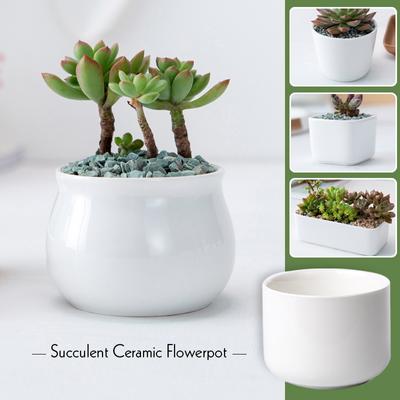 Simple Mini White Creative Garden Mini Succulent Ceramic Round Potted Flowerpot  Green Plant Pot Home Office Desktop Bonsai