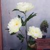 Peony Flower Fake Flower Living Room Bedroom Decoration Large Flower Shopping Mall Lobby