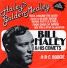 7inch Record BILL HALEY  HIS COMETS  Haleys Golden Medley MCA694 MCA Records 1981 UK Rock Used