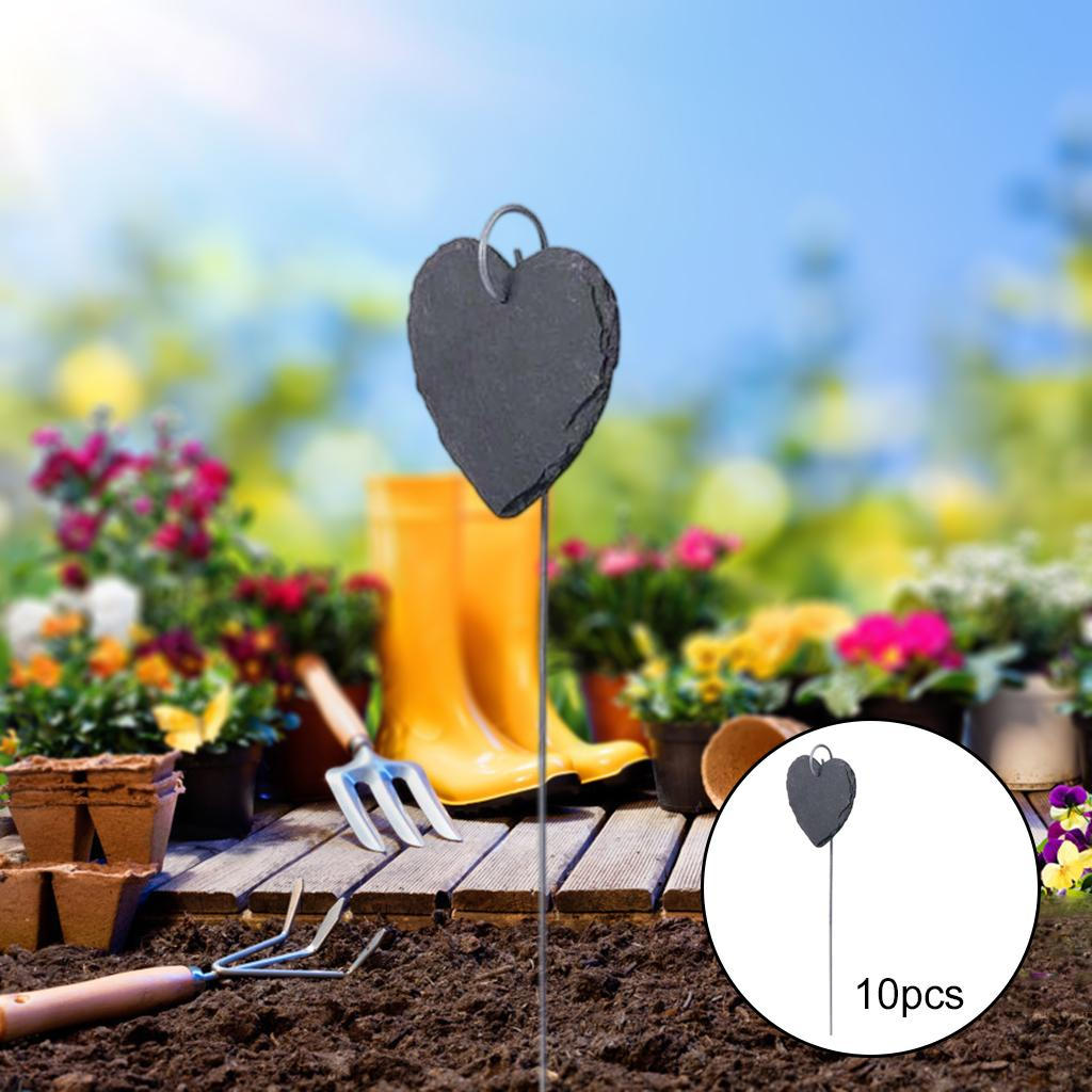 Labels 10Pcs Signs Garden Markers Slate for