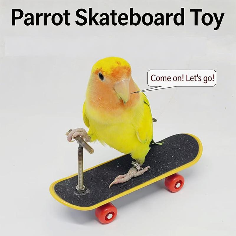 Vogel Papagei Spielzeug Skateboards Kunststoff Reptilien Unterhaltung Trainingswerkzeug Acc Vogelzubehör Rollschuhe