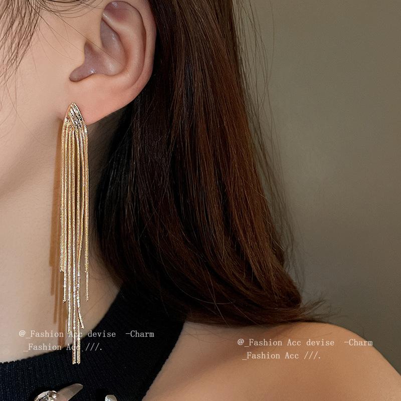 Silver Needle Metal Fringe Geometric Earrings European and American Niche Cold Wind Earrings Fashion Advanced Versatile Earrings