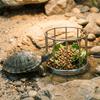 Wear Resistant Tortoise Food Dish Fence Design Reptile Water Tray  For Amphibians