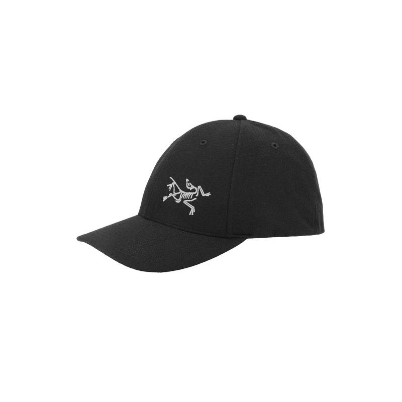 Arcteryx Archaeopteryx Pattern Embroidery Print Street
