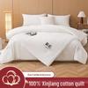 Muji Style 100% Xinjiang Cotton 2-in-1 All-Season Quilt
