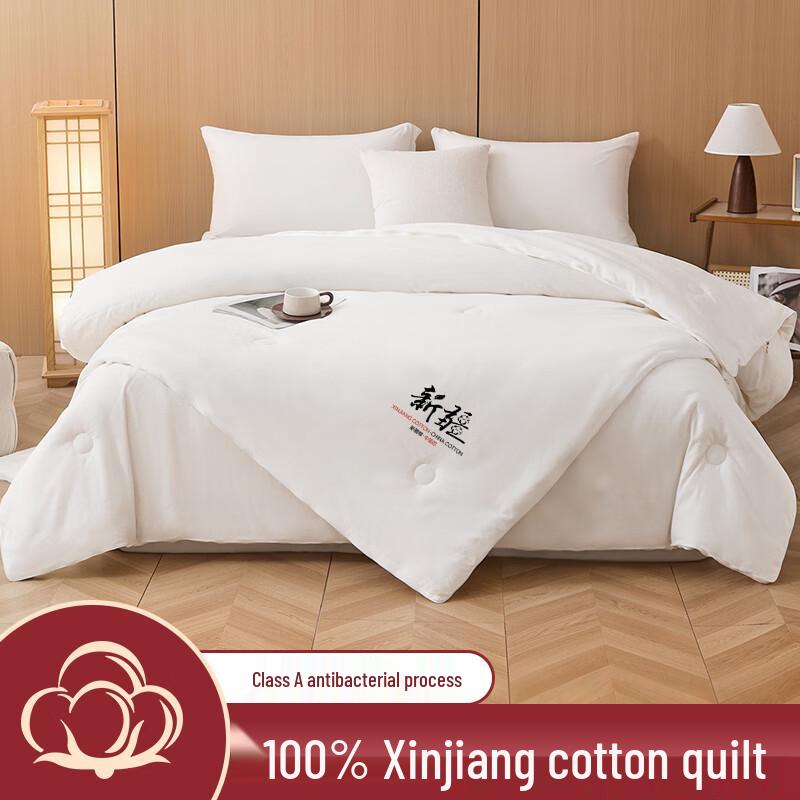 Muji Style 100% Xinjiang Cotton 2-in-1 All-Season Quilt