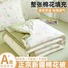Yongyou Wan A-class Cloud Feeling Double-Layer Yarn Summer Quilt