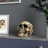 Skull Ornament Realistic Details Resin Crafted Desktop Skull Statue Halloween Office Home Desk Accessory
