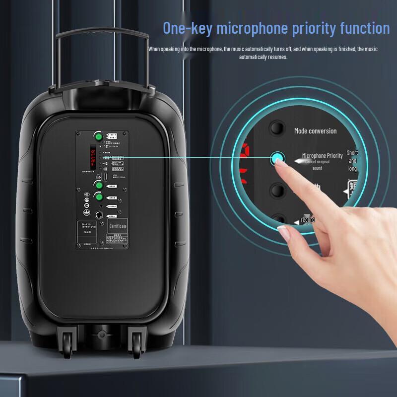 Suoai 12-inch High Power Portable Karaoke Trolley Speaker