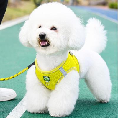 Breathable Mesh Vest-Style Small Dog Harness and Leash Set