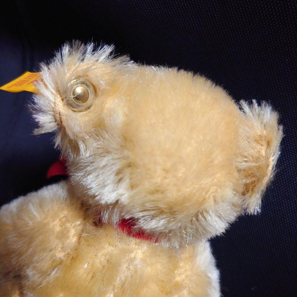 [USED] Excellent condition vintage Steiff teddy bear, German mohair