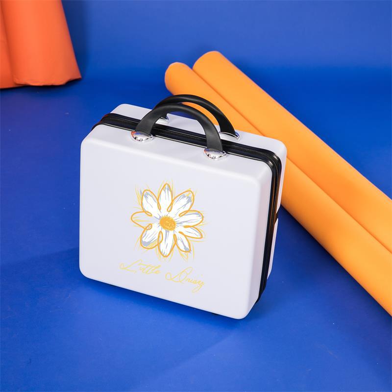Internet Celebrity Daisy Suitcase Women's Large Capacity Makeup Bag 16 Inch Suitcase Travel Storage Box Portable Gift