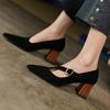Fashion 2025 Spring Women Shoes Pointed Toe Chunky Heel Women Pumps Sheep Suede High Heels Belt Buckle Shoes for Women zapatos de mujer