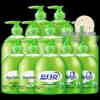 Blue Moon Aloe Vera Antibacterial Foaming Hand Wash