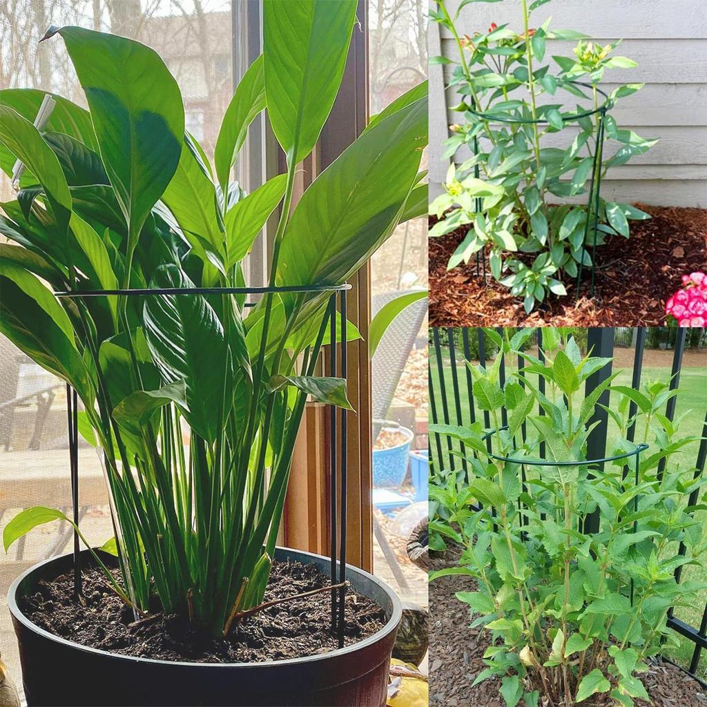 Plant Stakes And Supports 6 Pieces Indoor Plant Support Rings For Flowers Rustproof Half Round Stem Holder Climbing Gardening