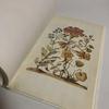 [USED] Collection of Works: Maria Sibylla Merian NEW BOOK OF FLOWERS