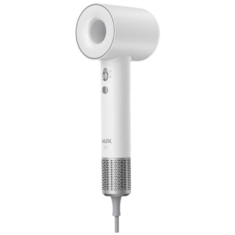 AUX 500W High-Speed Negative Ion Hair Dryer CN plug (adapter included)