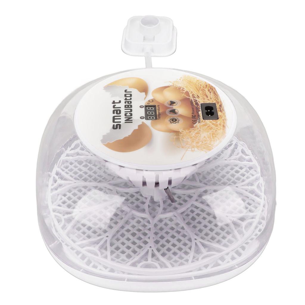 Egg Incubator Mini Automatic 12 Egg Hatcher with Fully Transparent Insulation Cover for Hatching