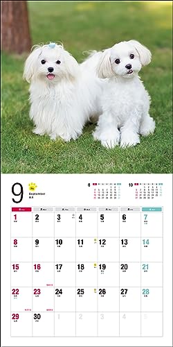 2024 Calendar Maltese (Seibundo Shinkosha Calendar)