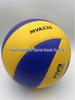 MVA300 Volleyball: Junior High Entrance Exam Special & Beginner Training for Students