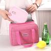 Insulated Meal Pouch Double Layer Food Thermal Cooler Thermal Lunch Bag  for Women Men
