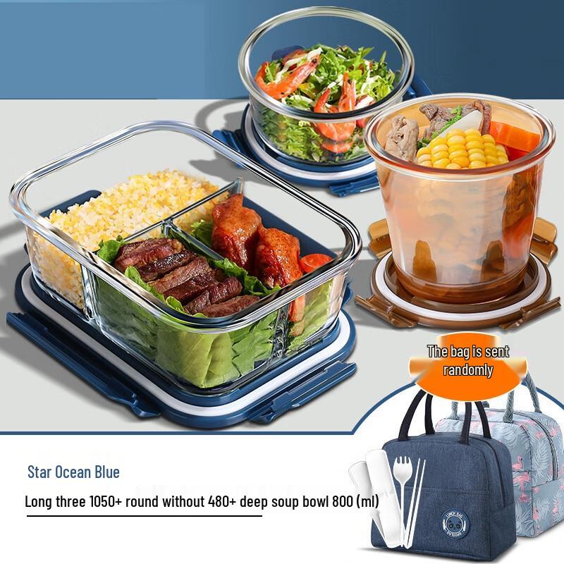 ZISIZ Glass Divided Lunch Box Set